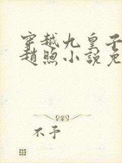 穿越九皇子燕王赵煦小说免费阅读