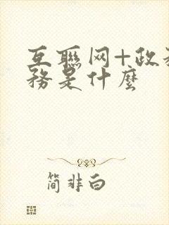 互联网+政务服务是什么