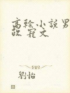 高干小说男主从政 宠文