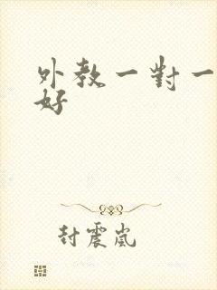 外教一对一好不好