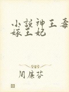 小说神王毒宠二嫁王妃