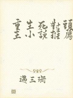 重生死对头双男主小说推荐