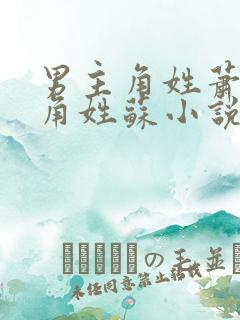 男主角姓萧女主角姓苏小说