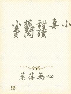 小枫甜妻小说免费阅读