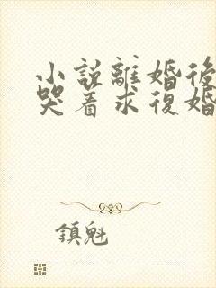 小说离婚后前夫哭着求复婚txt下载