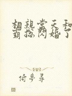 相亲当天和豪门霸总闪婚了完整版