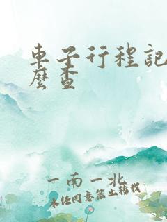 车子行程记录怎么查