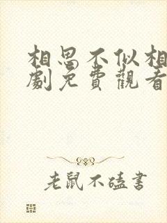 相思不似相逢短剧免费观看全集