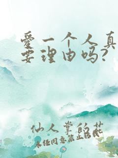 爱一个人真的需要理由吗?