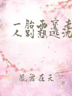 一胎两宝老婆大人别想逃沈蔓歌