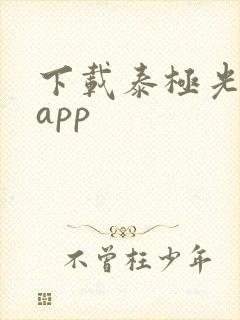 下载泰极光伏云app