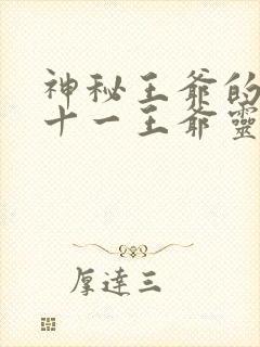 神秘王爷的爱妃十一王爷灵曦