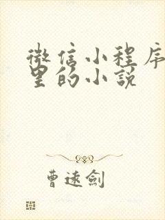 微信小程序广告里的小说