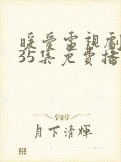 暖爱电视剧全集35集免费播放