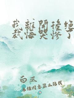 我离开后绝美总裁悔哭惨了小说