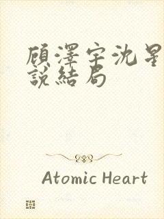 顾泽宇沈星晚小说结局