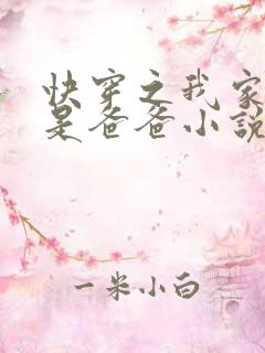 快穿之我家宿主是爸爸小说下载txt