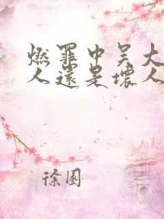 燃罪中吴大是好人还是坏人