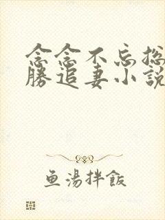 念念不忘总裁乘胜追妻小说