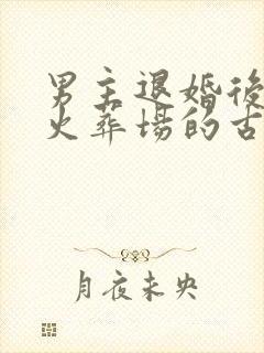 男主退婚后追妻火葬场的古言