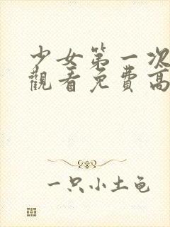 少女第一次在线观看免费高清电视剧