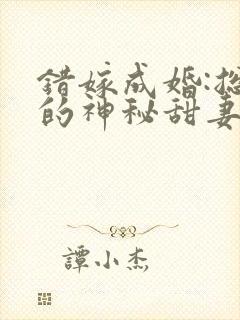 错嫁成婚:总裁的神秘甜妻