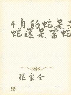 4月的蛇是苦命蛇还是富蛇