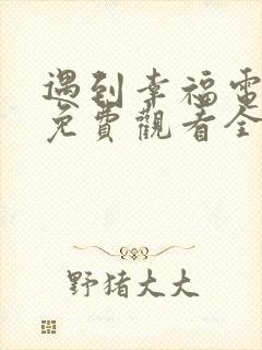 遇到幸福电视剧免费观看全集高清