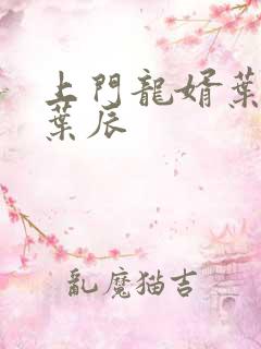 上门龙婿叶辰 叶辰