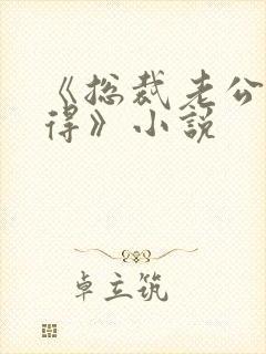 《总裁老公惹不得》小说