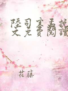 陆司寒孟挽意全文免费阅读最新章节列表