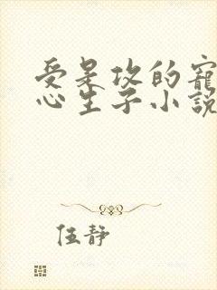 受是攻的宠妃虐心生子小说