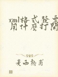 xml格式发票用什么打开