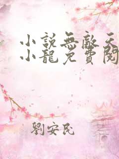 小说无敌天下黄小龙免费阅读全文无窗口