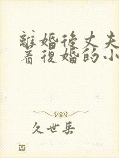 离婚后丈夫哭求着复婚的小说