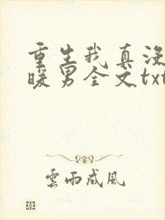 重生我真没想当暖男全文txt下载