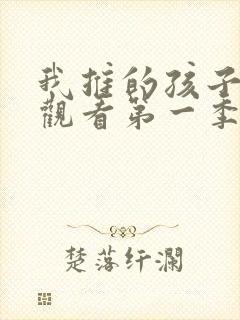 我推的孩子在线观看第一季