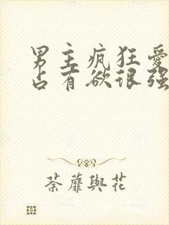 男主疯狂爱女主占有欲很强的小说