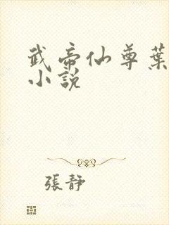 武帝仙尊叶辰 小说