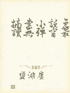 摘棠小说免费阅读无弹窗最新章节