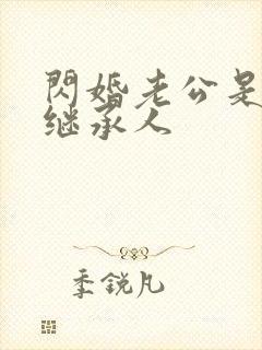 闪婚老公是豪门继承人