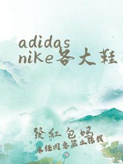 adidas nike各大鞋码对照表