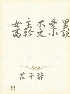 女主不爱男主的高干文小说