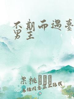 不期而遇台剧双男主