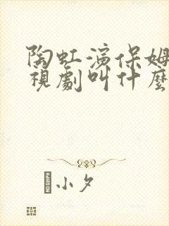 陶虹演保姆的电视剧叫什么