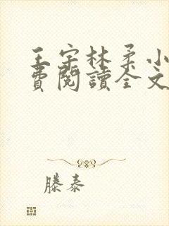 王宇林柔小说免费阅读全文最新章节