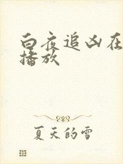 白夜追凶在哪里播放