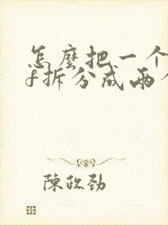 怎么把一个pdf拆分成两个