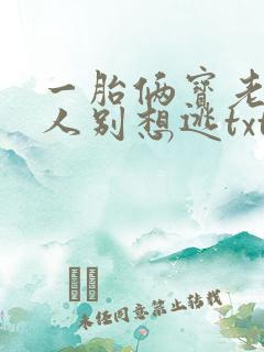 一胎俩宝老婆大人别想逃txt