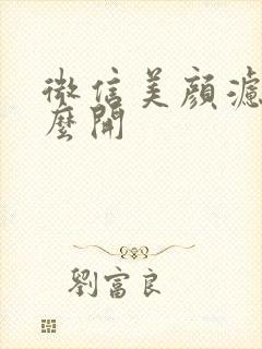 微信美颜滤镜怎么开